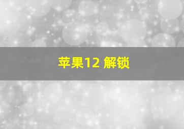 苹果12 解锁